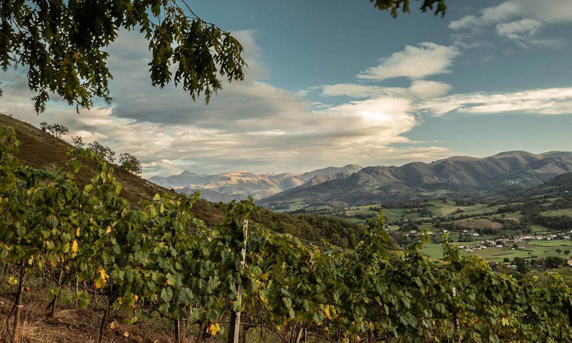 Domaine Arretxea