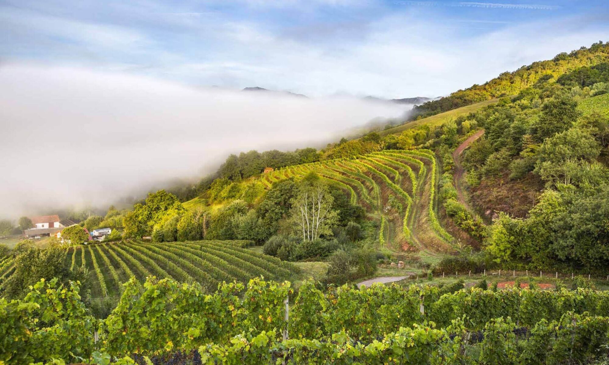 Domaine Arretxea