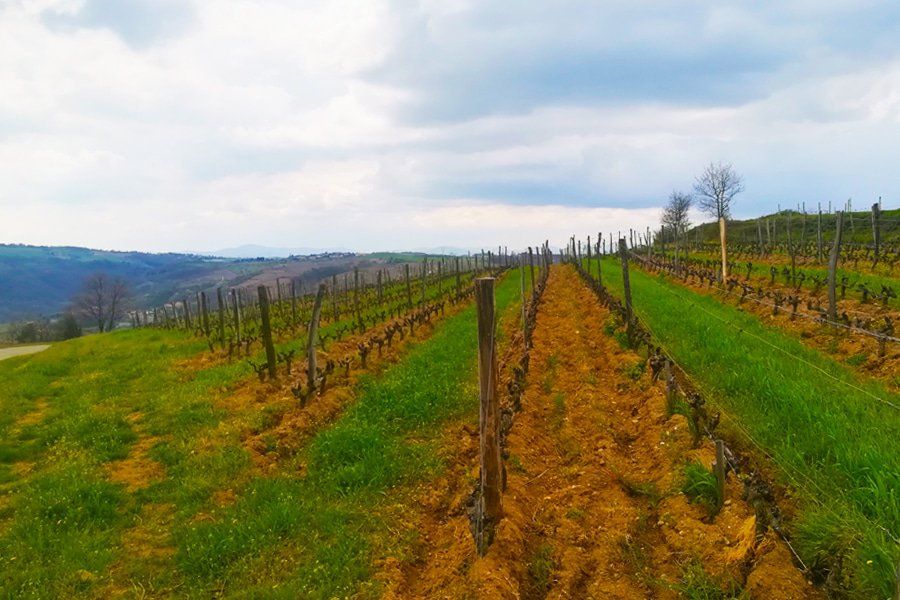 Proeflokaal-toelichting