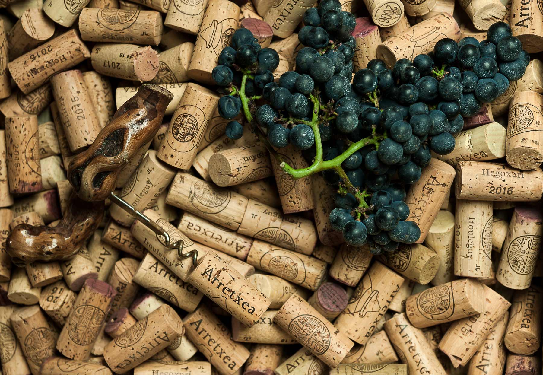 Domaine Arretxea