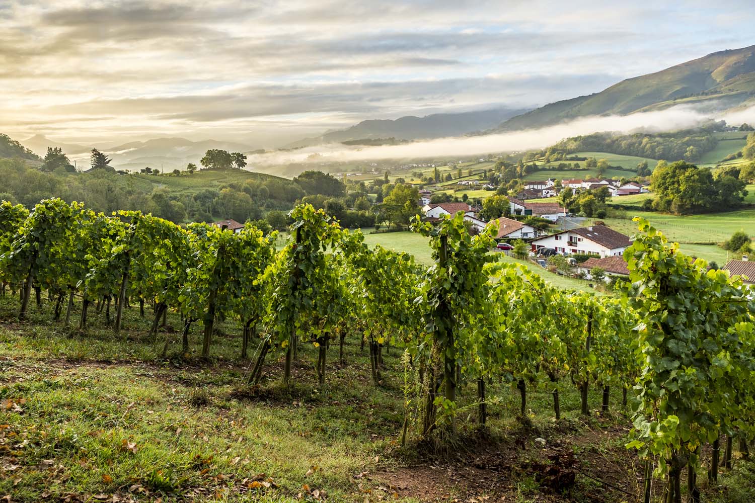 Domaine Arretxea