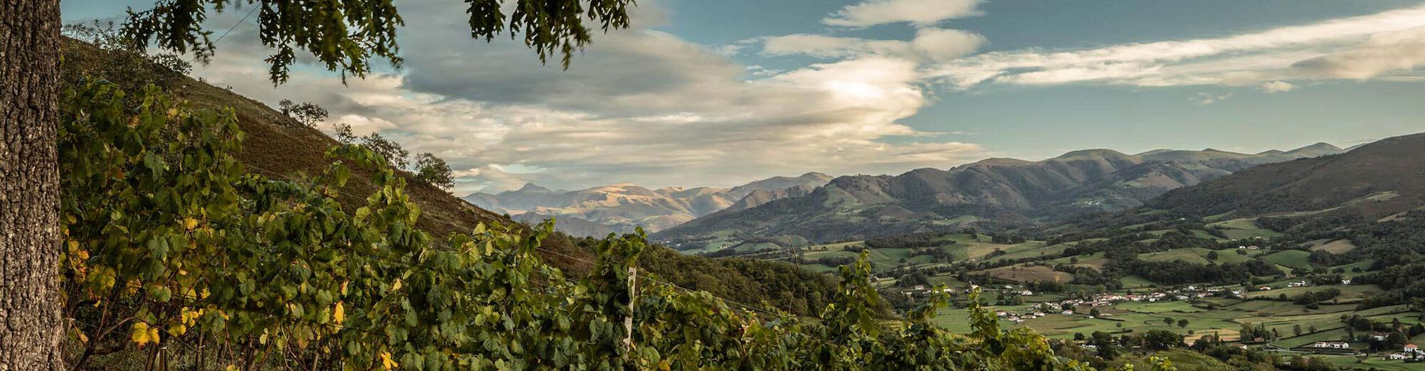 Domaine Arretxea